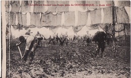 TRAVAILLEURS TRAQANT UNE ROUTE PRES DE OOSTKERQUE.-AOUT.1917. - Oostduinkerke