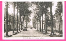 D49. SEICHES SUR LE LOIR. AVENUE DE SUETTE. - Seiches Sur Le Loir