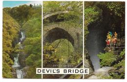DEVIL'S BRIDGE - Pub. J. Salmon - Multiview - Cardiganshire