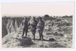 ALBANIA - ITALIAN OCCUPATION - OFFICERS -  RPPC POSTCARD 1940s (BG3281) - Other & Unclassified