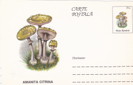 BV6794   MUSHROOMS, Shifted Picture, RARE POSTCARD STATIONERY 1996 ROMANIA. - Variétés Et Curiosités