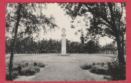 Mariembourg - Cimetière Militaire ( 1914-18 ) - 630 Tombes De Soldats. ( Voir Verso ) - Cimiteri Militari