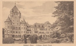 LUXEMBOURG -   COLMAR-BERG  -  Château Grand-Ducal - Colmar – Berg