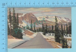 Wyoming -  Highway Through The Snowy Range Medecine Bow..- Linnen Postcard Lin -  Vintage Ancienne - 2 Scans - Autres & Non Classés