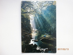 Postcard The Fairy Glen Betws Y Coed North Wales My Ref B2438 - Zu Identifizieren