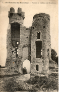 38. Saint Simeon De Bressieux.  Ruines Du Chateau De Bressieux - Clelles