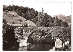 BIDARRAY, Basses Pyrénées / Atlantiques: Le Pont Noblia ( Pont Romain) GROS PLAN , Cachet Tireté 1961, TB - Bidarray