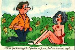 Humour - Illustration Alexandre Sans Signature -  Série Vendanges 906/2 - "Greffer Un Jeune Plan Sur Un Vieux Cep ! - Humor