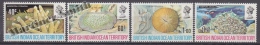 British Indian Ocean 1972 Yvert 44- 47, Coral - MNH - British Indian Ocean Territory (BIOT)