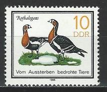 DDR Mi 2953 ** MNH Branta Ruficollis - Ganzen