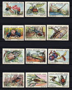 Meurisse - Ca 1930 - 12 - Les Insectes, Insects (full Serie, 3 And 4 Damaged) - Other