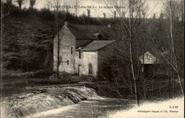 44- AIGREFEUILLE-SUR-MAINE - Moulin à Eau - Aigrefeuille-sur-Maine