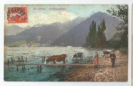 74 - Haute Savoie - Lac Léman Les Grangettes Vaches Cachet Annemasse - Annemasse