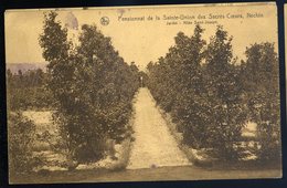 Cpa Belgique Néchin - Pensionnat De La Sainte Union  Des Sacrés Coeurs Jardin Allée St Joseph - Estaimpuis   NCL51 - Estaimpuis