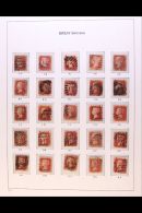 1858-79 1d Red Plate Numbers, A Reconstructed Sheet AA-TL Of Mixed Plates Displayed On Pages, Good To Fine Used.... - Altri & Non Classificati