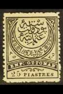 1884-86 25pi Black And Grey-olive "Emp. Ottoman", Perf 13½, Michel 50A, Fine Mint. For More Images, Please... - Autres & Non Classés