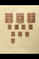 1894 2nd August Issue Of  1a On 64a Study (SG 45), Including Mint & Used Blocks Of 4, "At  " Variety (second... - Thaïlande