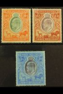 ORANGE RIVER COLONY REVENUE 1903 KEVII 10s Orange & Green, £2 Brown & Violet, Both Wmk Crown CC,... - Non Classés