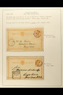 ORANGE FREE STATE POSTAL CARDS 1884-1898 Interesting Collection Of Various Used Postal Stationery Cards Written Up... - Non Classés