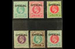 NATAL OFFICIAL 1904 Complete Set, SG O1/6, Fine Mint, Gum Faults. Cat £350 (6 Stamps) For More Images,... - Non Classés