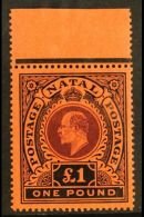 NATAL 1908-09 £1 Purple & Black On Red, SG 171, Fine Mint Top Marginal Example, Two Tiny Black Ink Spots... - Ohne Zuordnung