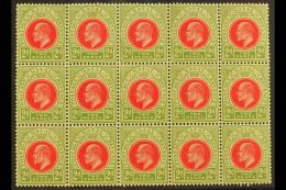 NATAL 1902-03 2d Red & Olive Green, SG 130, BLOCK Of 15 (5 X 3), Never Hinged Mint (15 Stamps) For More... - Ohne Zuordnung