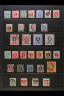 NATAL 1902-08 USED KEVII COLLECTION On A Stock Page. Includes 1902-03 Set To 2s, 1902 "Large" Types With 5s, 10s,... - Zonder Classificatie