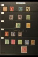 NATAL 1859 - 1908 Small But Useful Mint And Used Selection On Hagner Pages Including 1857 1d Rose Used With... - Non Classés