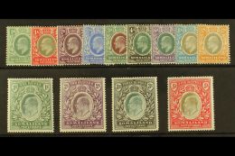1904 Complete Set, SG 32/44, Very Fine Mint. (13) For More Images, Please Visit... - Somaliland (Protectorate ...-1959)