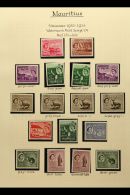 1953-1974 DELIGHTFUL MINT COLLECTION Very Fine Condition, Mostly Never Hinged. Strongly Represented For The Period... - Mauricio (...-1967)