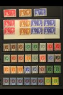 1937-52 KGVI MINT COLLECTION On Stock Pages. Includes 1937 Coronation Set As Singles & Corner Blocks Of 4,... - Leeward  Islands