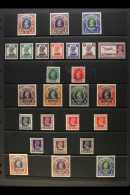 CHAMBA 1938-47 MINT KGVI COLLECTION On A Stock Page. Includes 1942-47 1r, 2r & 5r, White Background Issue... - Andere & Zonder Classificatie