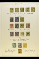 GUADELOUPE 1882-1947 VALUABLE MINT & USED COLLECTION Neatly Presented On Album Pages. Includes 5c, 15c &... - Autres & Non Classés