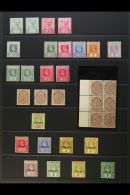 1900-1909 MINT COLLECTION Presented On A Stock Page. Includes 1900 QV Set With Shades, 1902-03 ½d, 1905... - Cayman (Isole)