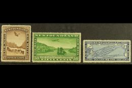 1931 Airmails, No Watermark Set, SG 192/4, Very Fine Mint (3). For More Images, Please Visit... - Autres & Non Classés