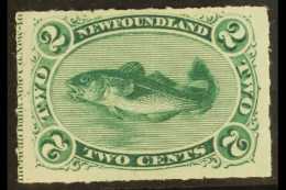 1876 2c Bluish Green, Codfish, Rouletted, SG 41, Very Fine And Fresh Mint Og. For More Images, Please Visit... - Andere & Zonder Classificatie