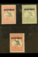1931-36 10s, £1 And £2 Roo's Wmk C Of A, Each Overprinted "SPECIMEN", SG 136s/38s, Never Hinged Mint... - Sonstige & Ohne Zuordnung