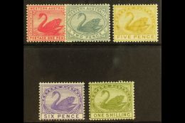 WESTERN AUSTRALIA 1885-93 1d, 2d, 5d, 6d & 1s Values, SG 95, 96, 99, 100 & 102, NEVER HINGED MINT (5... - Other & Unclassified