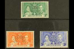 1937 Coronation Complete Set Perf "SPECIMEN", SG 35s/37s, Very Fine Mint. (3 Stamps)  For More Images, Please... - Ascension (Ile De L')