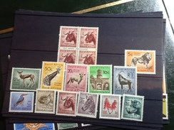 27450) Loltto Di Francobolli Del Sud Africa Nuovi MNH** Fauna Serie Completa - Collections, Lots & Series