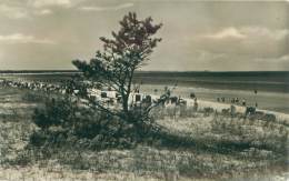 Ostseebad Prerow - Strand Und Hohe Düne - Seebad Prerow