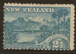 NZ 1898 2 1/2d Lake Wakatipu SG 260 HM #YS224 - Unused Stamps