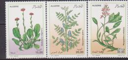 Algeria Medicinal Plants/Ginseng/Periwinkle/Flowers/Medical 3v Set - Geneeskrachtige Planten