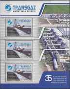 2009 Romania, Roumanie, Rumanien - Transgaz, Gas Pipeline Block 3v., Energy Mi 6356 MNH - Gas