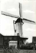 RUISELEDE (W.Vl.) - Molen/moulin - De Stenen Knokmolen Omstreeks 1965, Toen Deze Nog Dagelijks In Bedrijf Was - Ruiselede