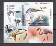 Comores 2011,1V In Block,IMP,birds,flamingo,reiger,vogels,vögel,oiseaux,pajaros,uccelli,aves,MNH/Postfris(L2830) - Flamingo