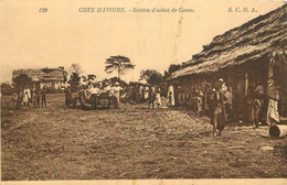 STATION D ACHAT DU CACAO - Côte-d'Ivoire