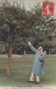 Scènes De La Vie Normande. - Les Pommes - Cultures