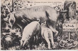 Fantaisie COCHON . Truie Allaitant Ses 2 Petits "Chausse Toi Pour Faire Le Quatrième " (Illust.Lu. F. ) - Varkens