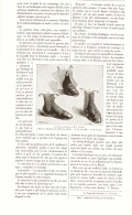 BOTTINE-BRODEQUINS 1896 - Antes De 1900